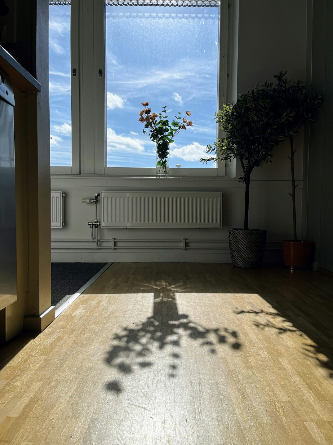 person mopping wooden floor