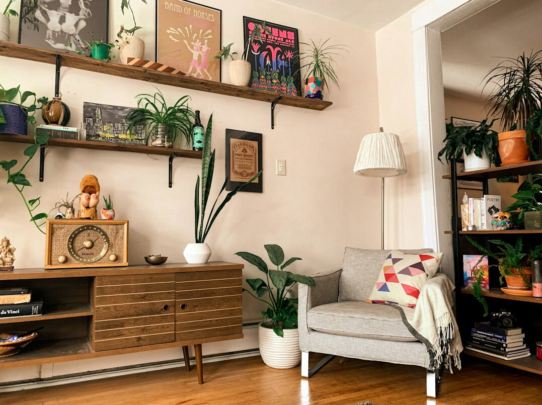 tidy living room with plants